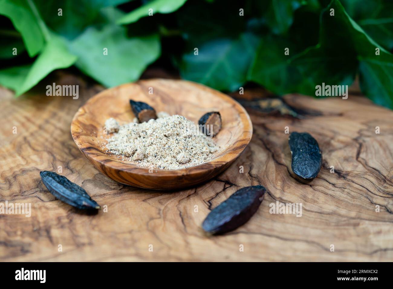 brown dutch tonka bean on olive wood Stock Photo - Alamy