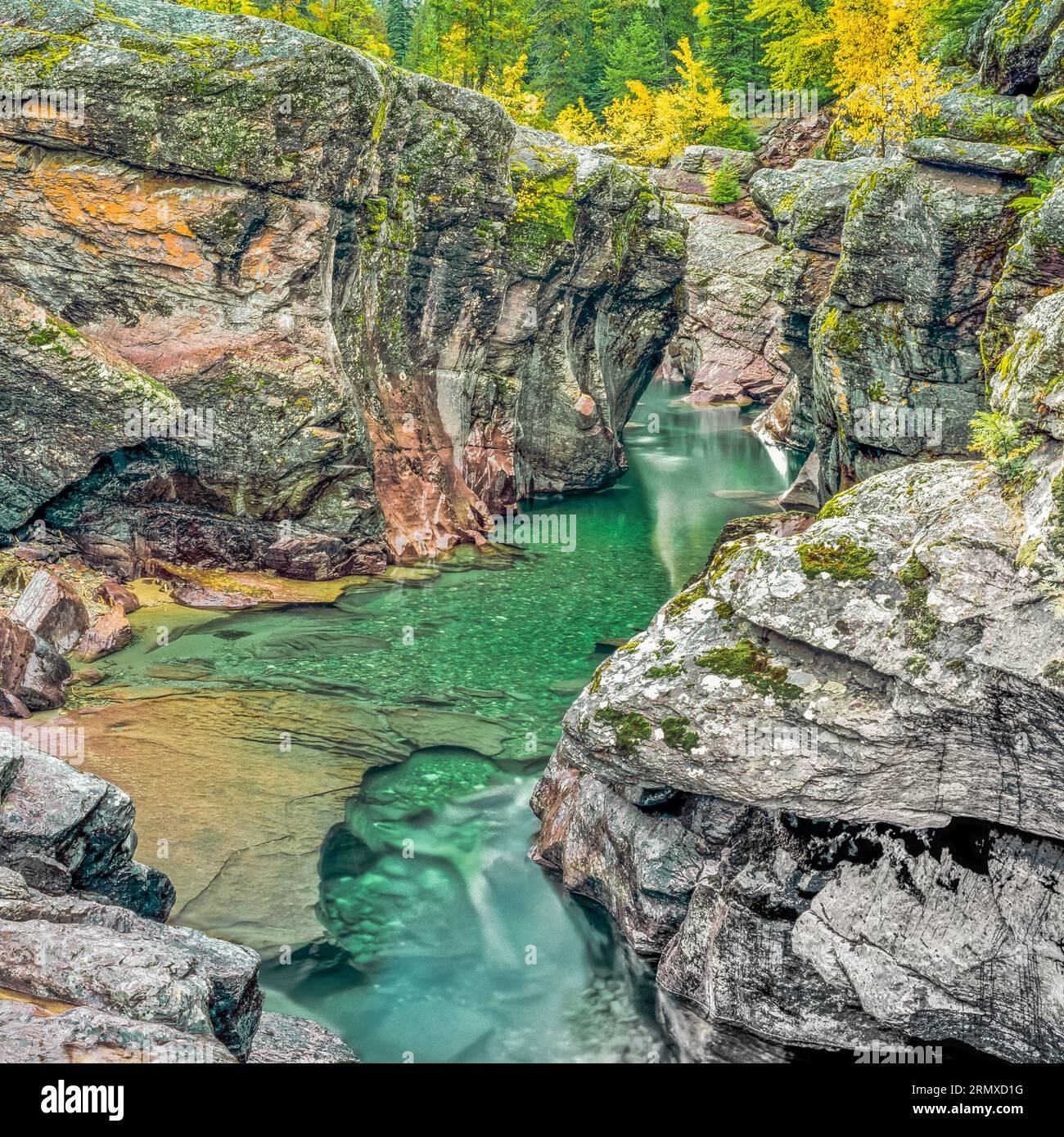 narrow gorge and fall colors along mcdonald creek in glacier national park, montana Stock Photo