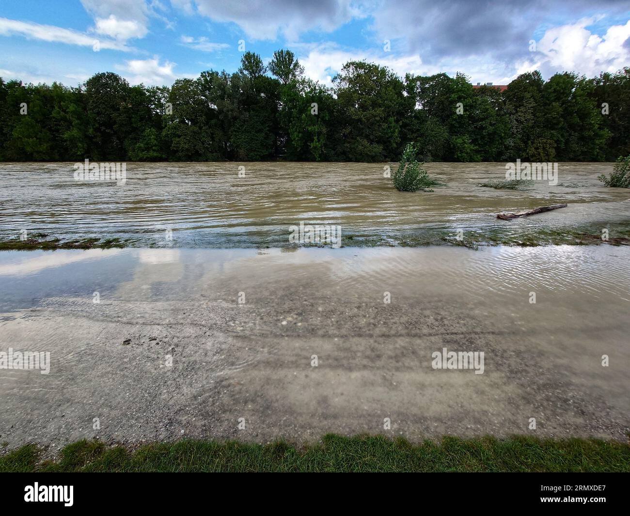 Munich, Bavaria, Germany. 30th Aug, 2023. Some examples of the current