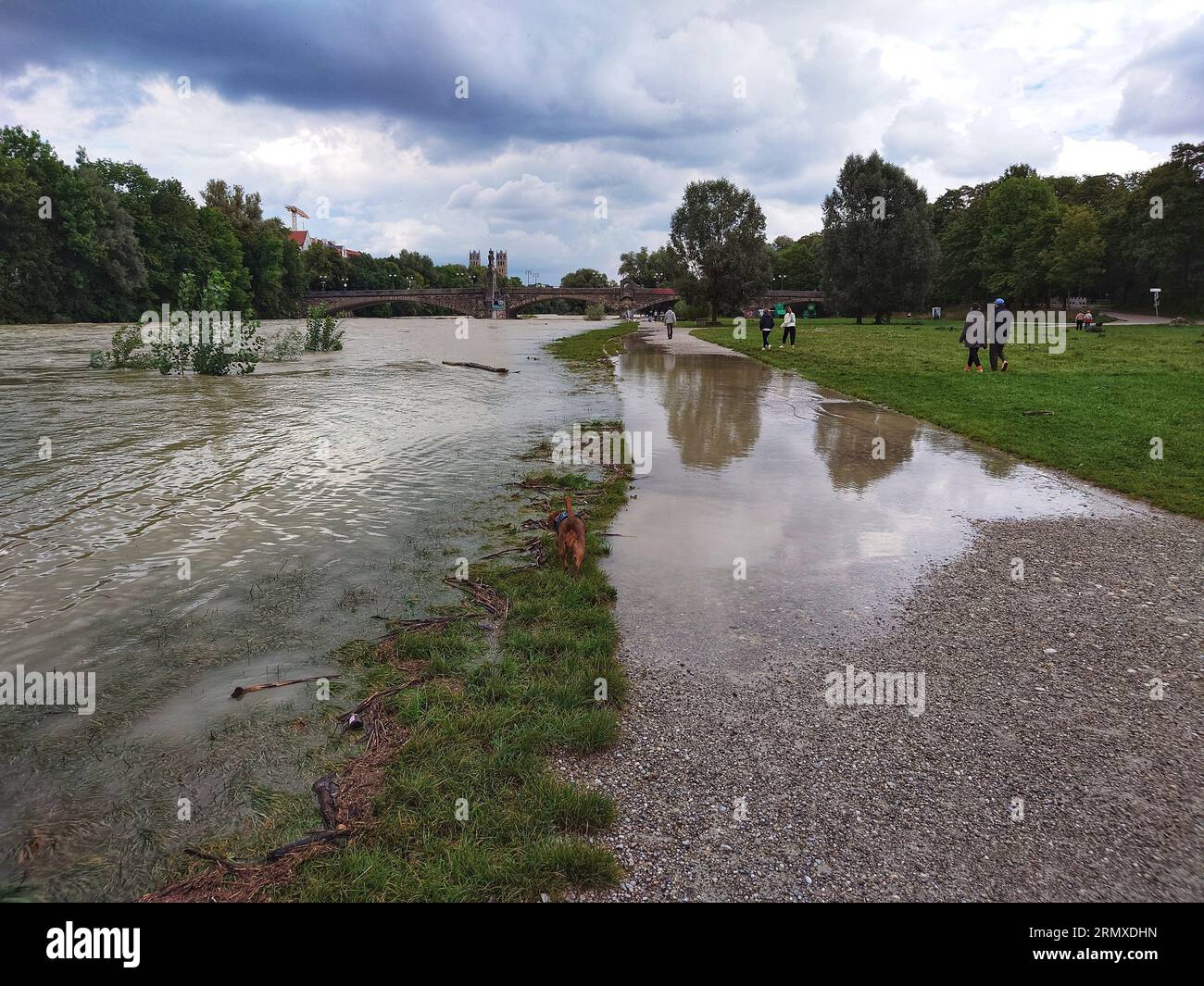 Munich, Bavaria, Germany. 30th Aug, 2023. Some examples of the current