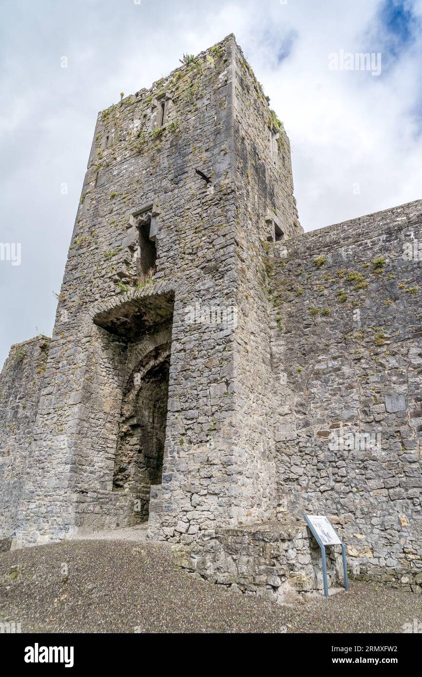 Aerial view of Liscarroll Castle 13thcentury HibernoNorman fortress