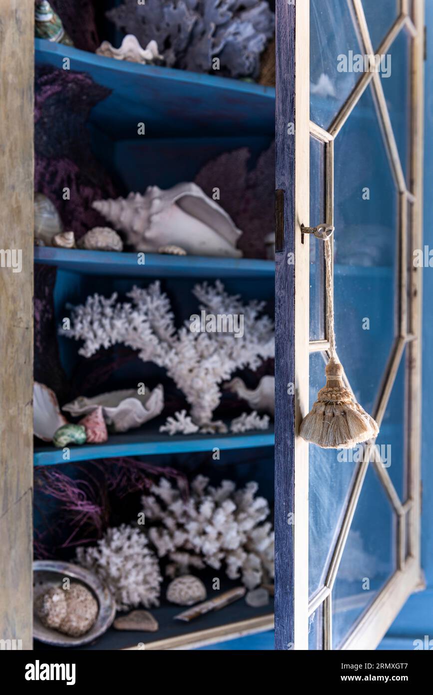 Coral and seashells in glass fronted cabinet. 18th century flower loft conversion near Penzance in Cornwall, UK Stock Photo