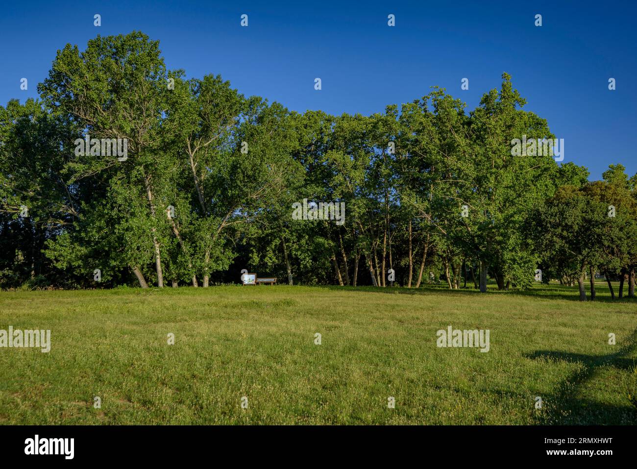 Parc de can font hi-res stock photography and images - Alamy
