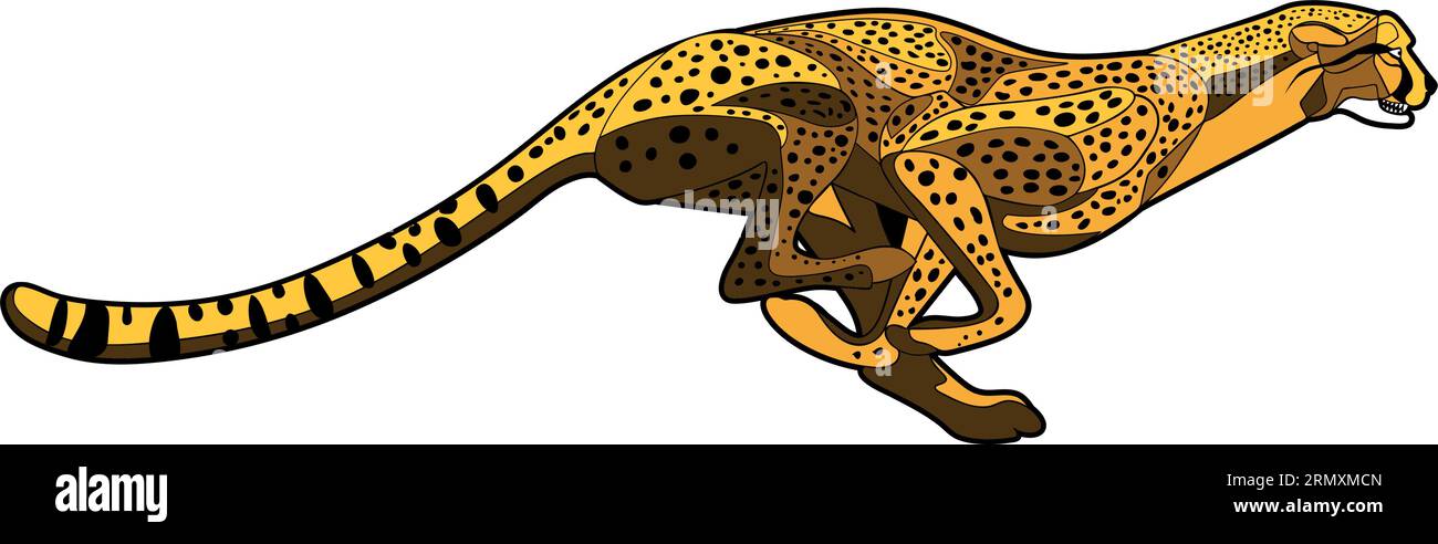 African cheetah running Creative illustration isolated on transparent background. Vector graphic. Stock Vector
