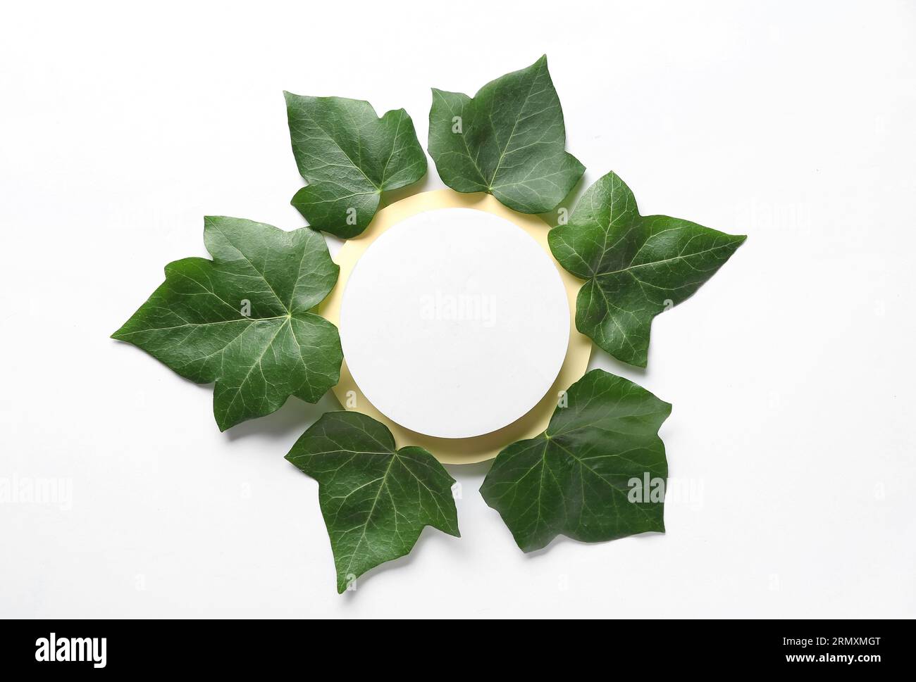 Green ivy leaves with round blank card on white background Stock Photo ...
