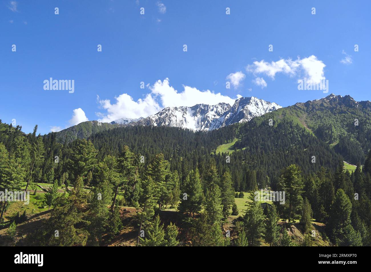 Peak of a snowclad mountain, in the background of hilly slopes covered with trees. Naltar Valley, Gilgit Baltistan, Northern Areas of Pakistan Stock Photo