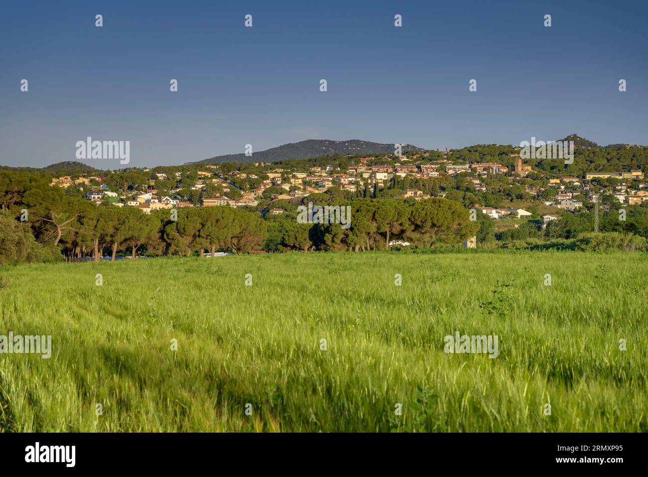 Village of Santa Eulàlia de Ronçana, surrounded by green fields in spring (Vallès Oriental, Barcelona, Catalonia, Spain) Stock Photo