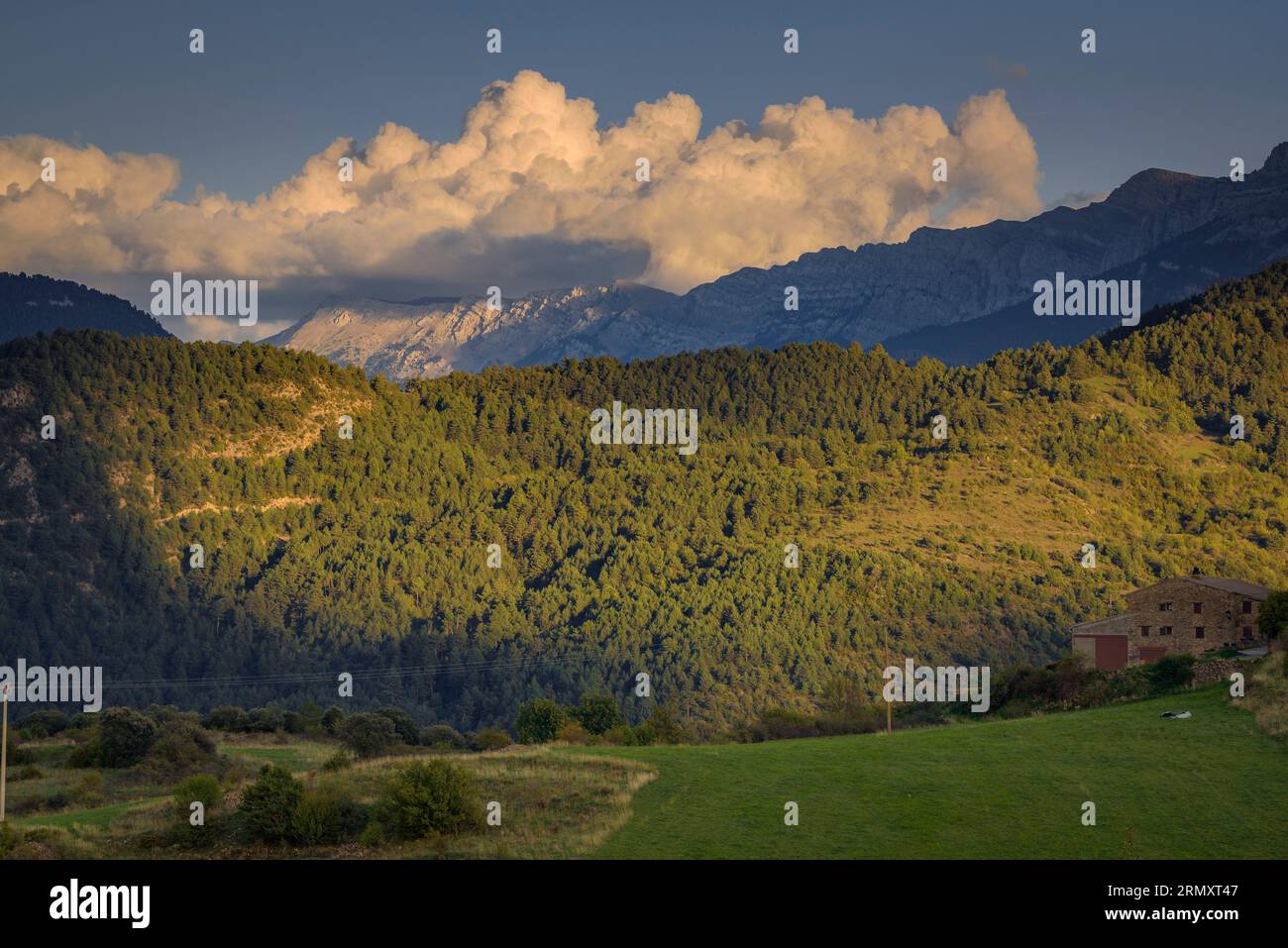 Green fields and the Cadí mountain range in a late summer sunset (Alt Urgell, Lleida, Catalonia, Spain, Pyrenees) ESP: Campos verdes y el Cadí, Lérida Stock Photo