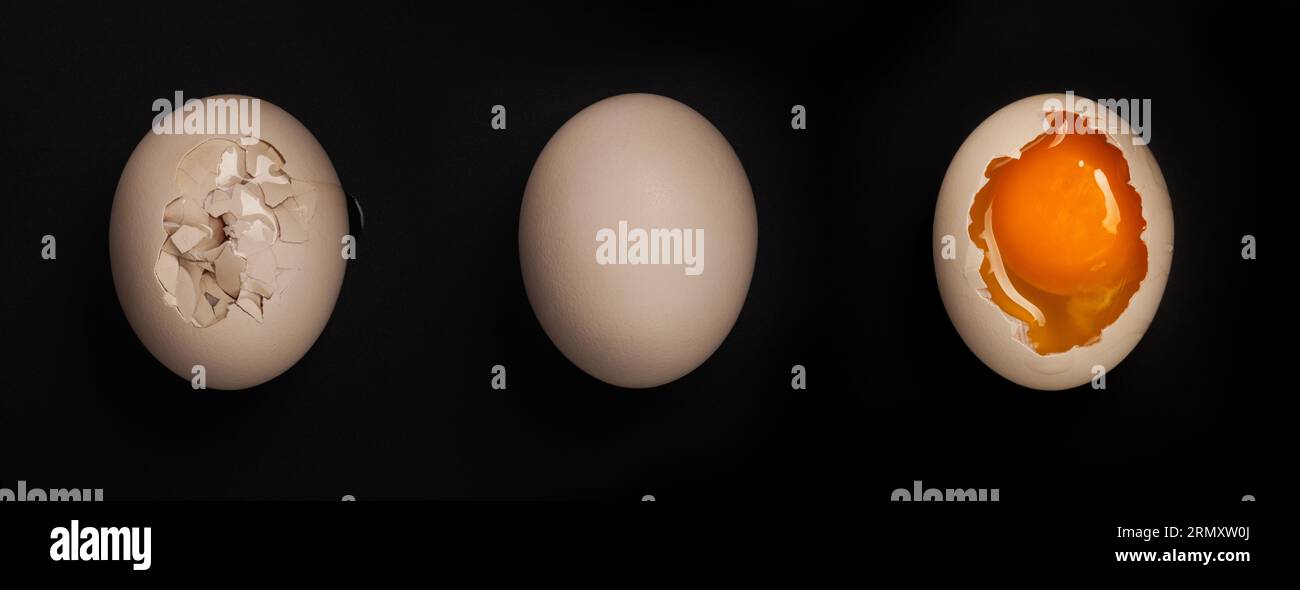 Chicken eggs on black background Stock Photo - Alamy
