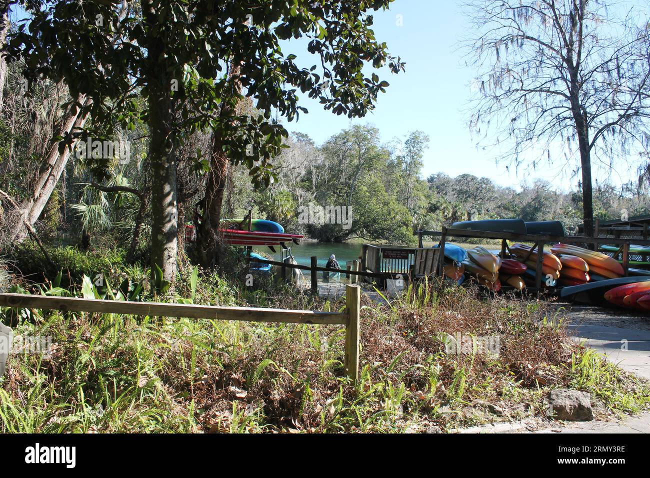 Rainbow Springs Natural Springs in Florida Stock Photo Alamy