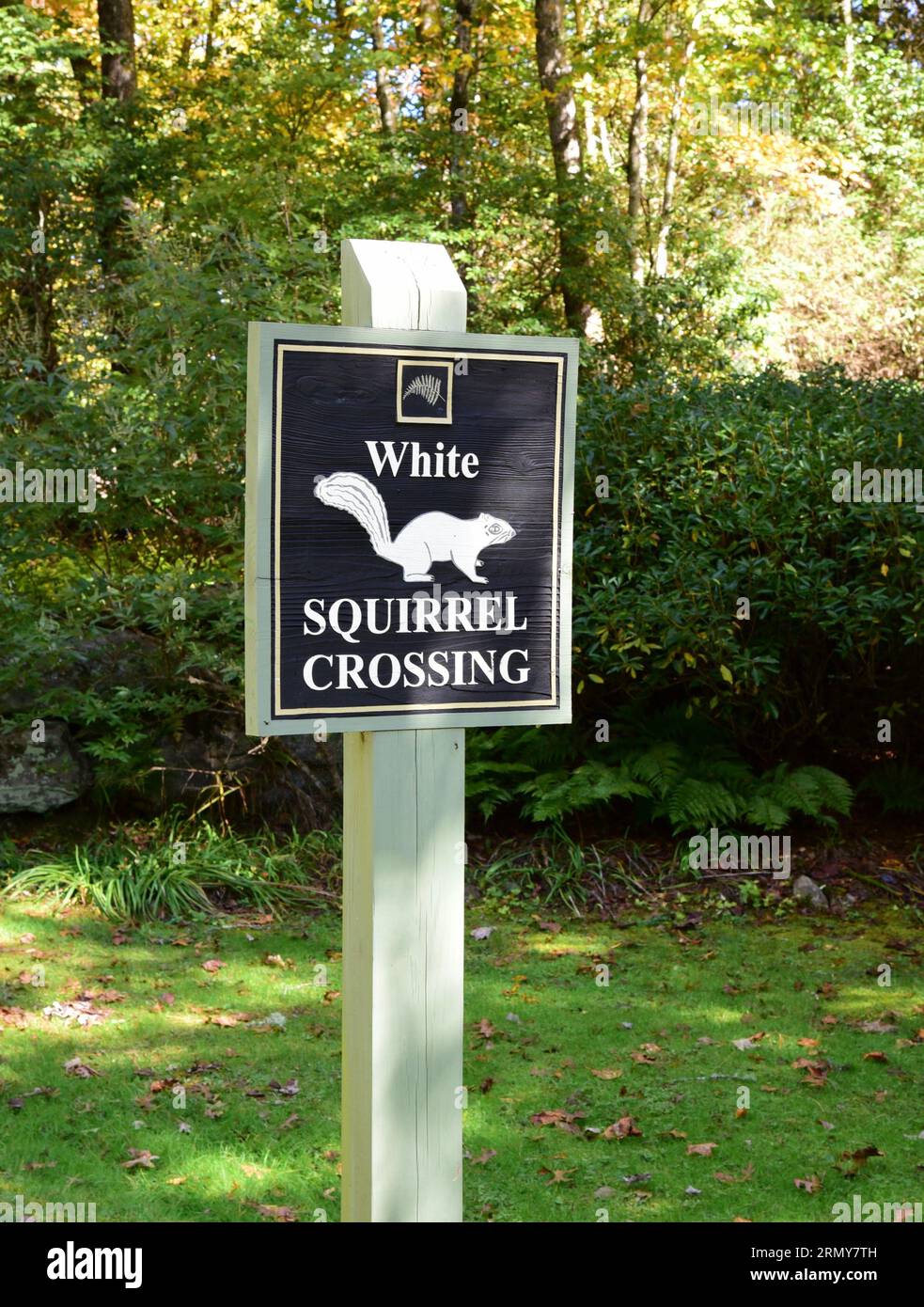 A white sign with black lettering stands in a grassy field surrounded ...