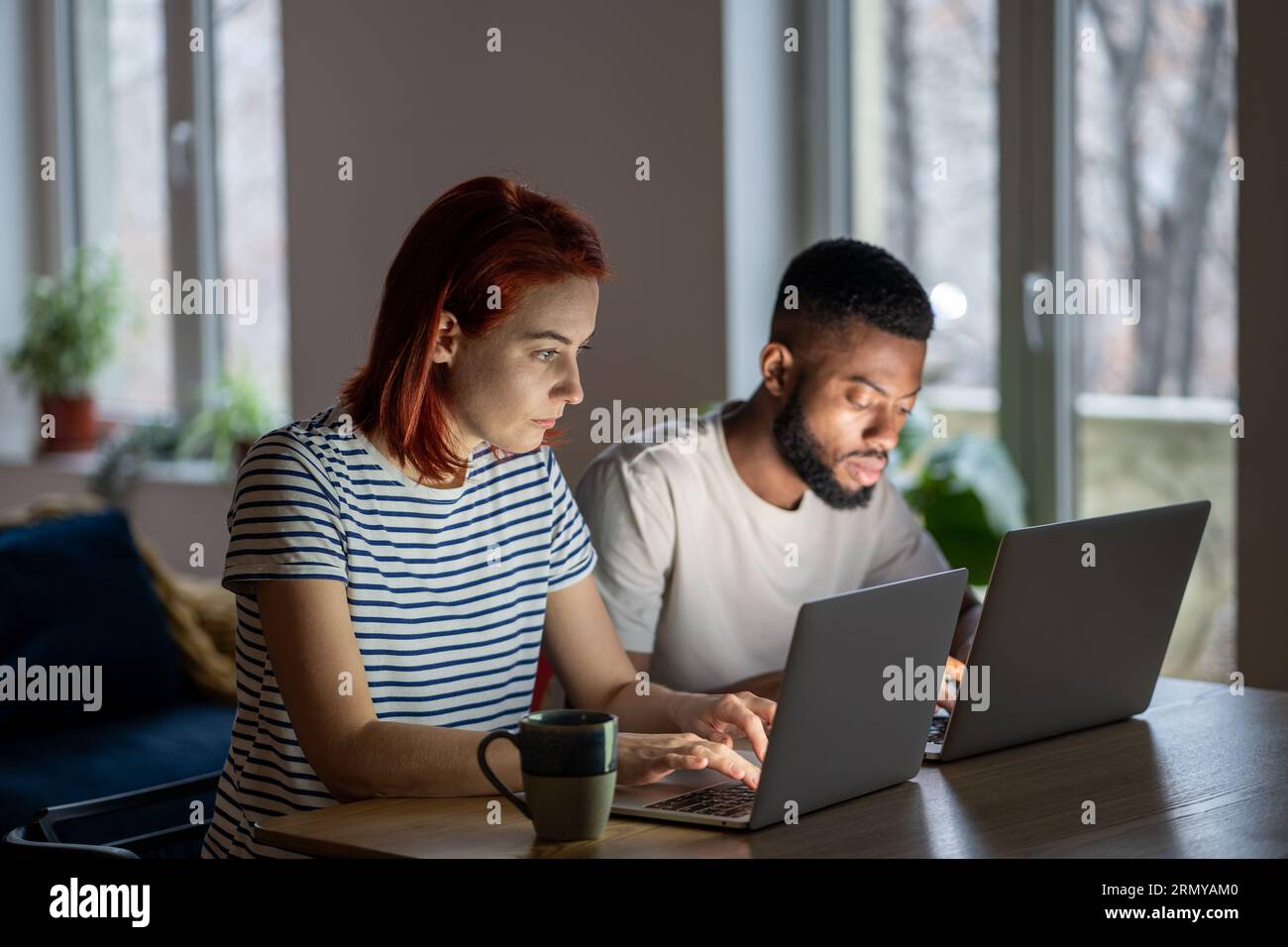 Focused entrepreneurs caucasian woman african american man work on laptops in home office together. Stock Photo