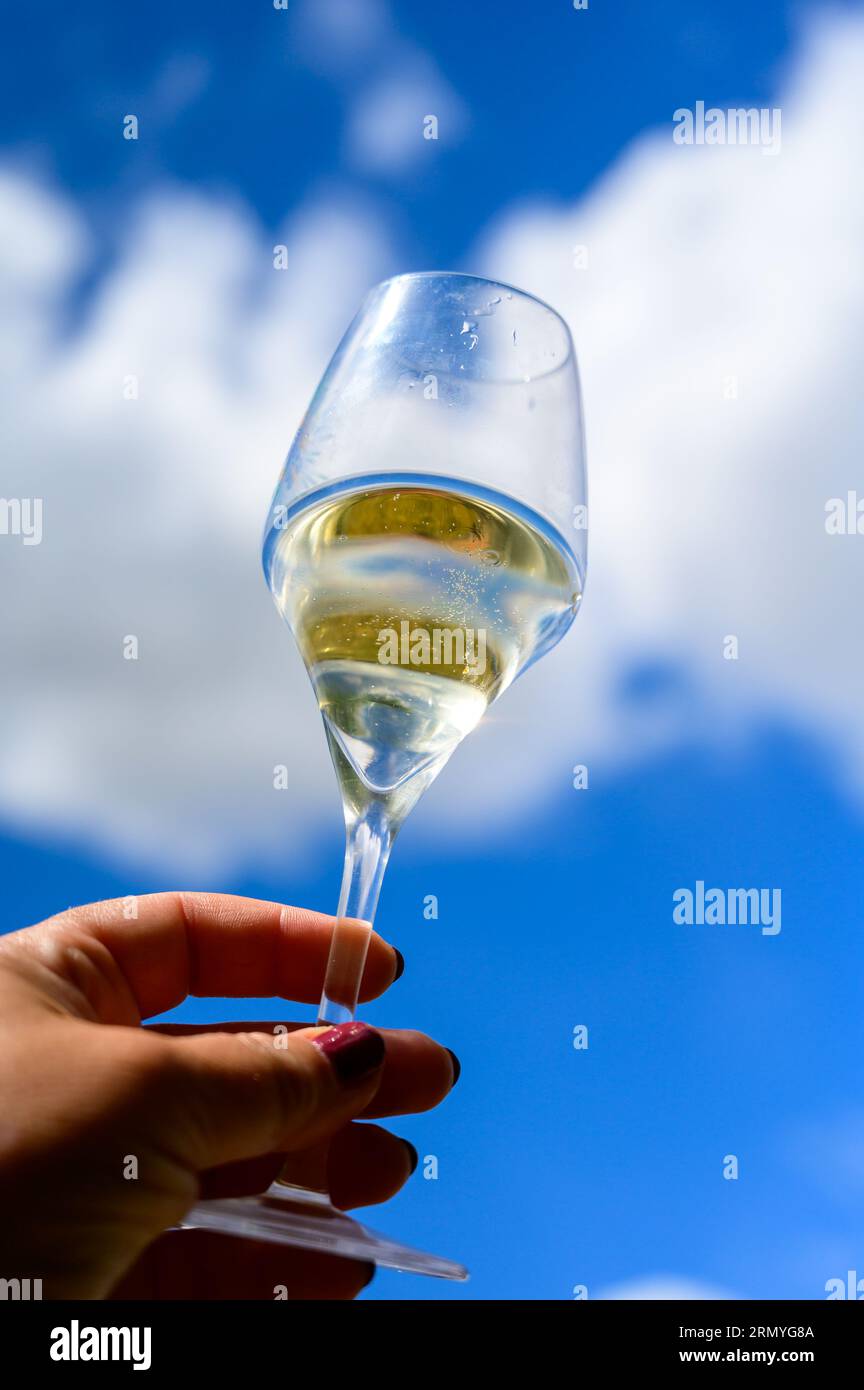 Glass of sparkling white wine with bubbles champagne and blue sky in