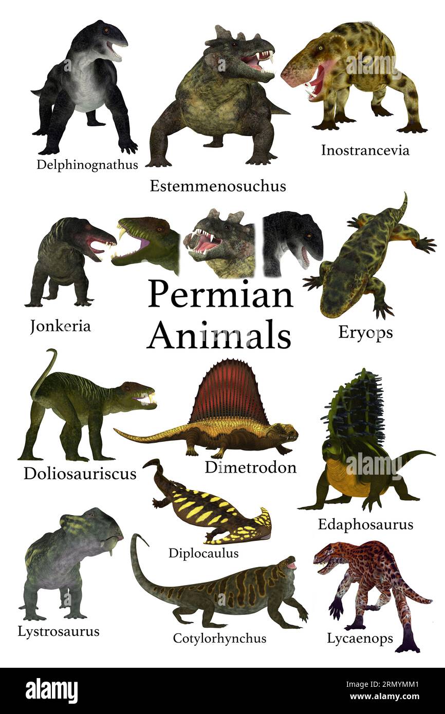Permian Animals - A collection of animals, cats, arthropods, amphibians, reptiles and synapsids that lived during the Permian Period. Stock Photo