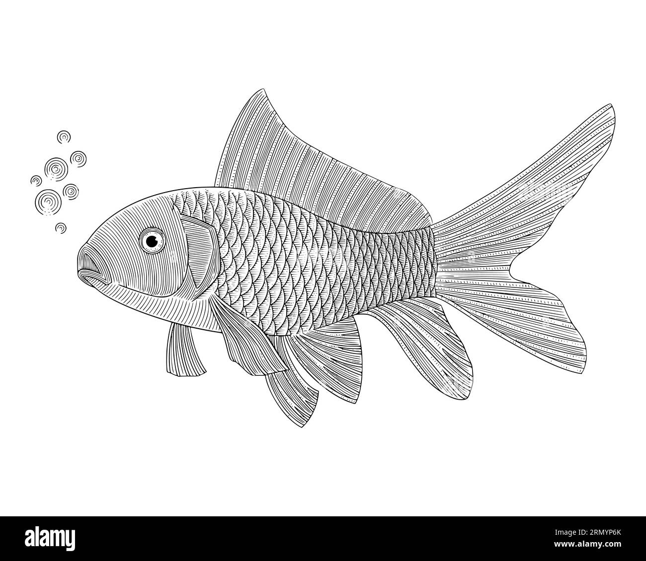 goldfish, vintage engraving drawing style vector illustration Stock Vector