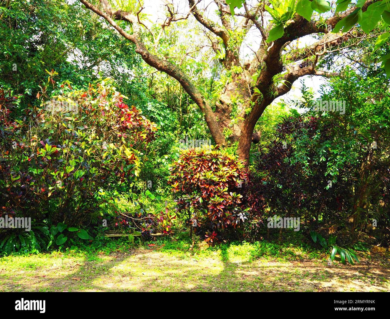 Naha, Okinawa, South East Asia Blue Zones Stock Photo Alamy