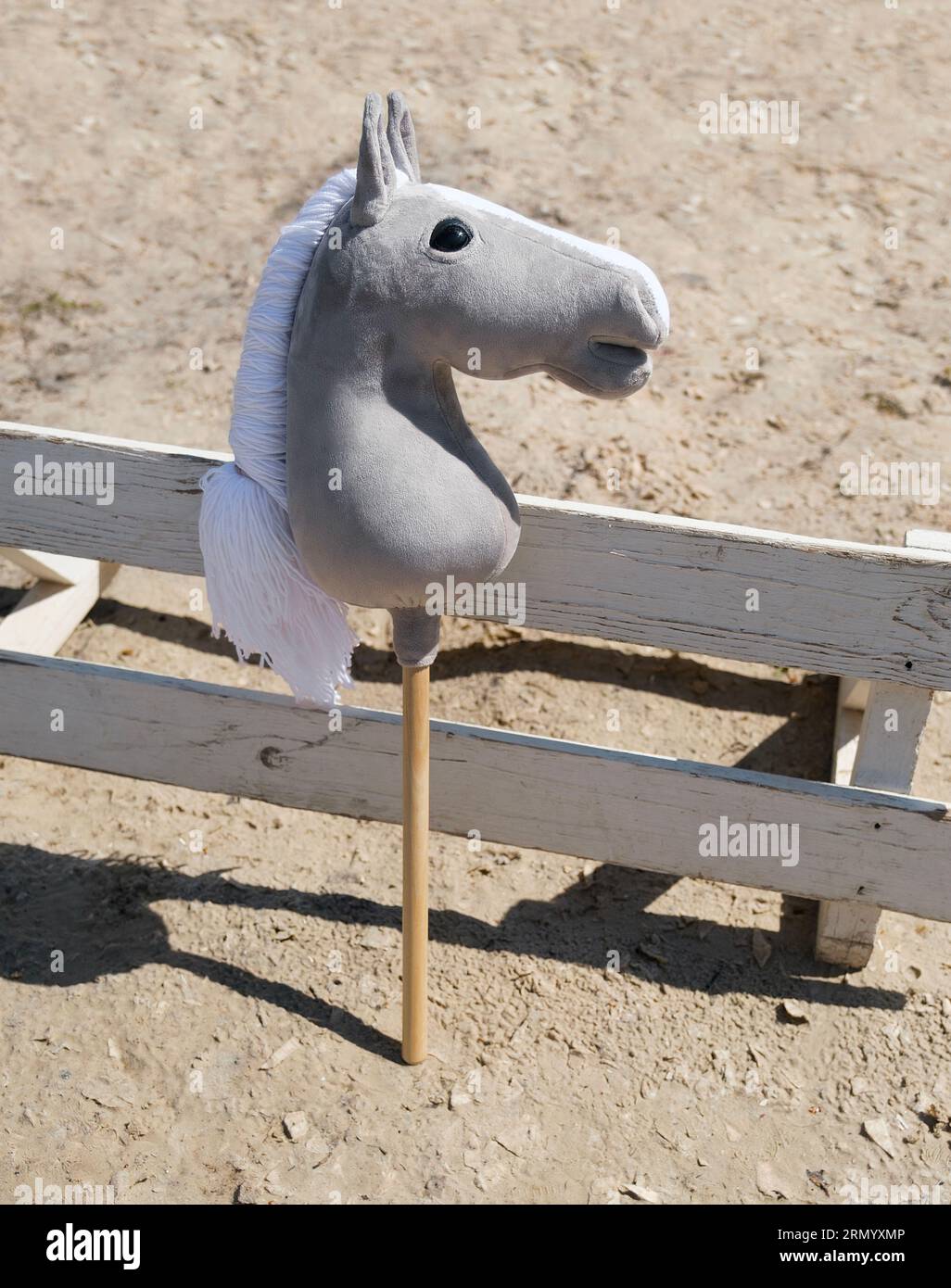 Stick horse, hobby horse. Equestrian sports. Equestrian equipment