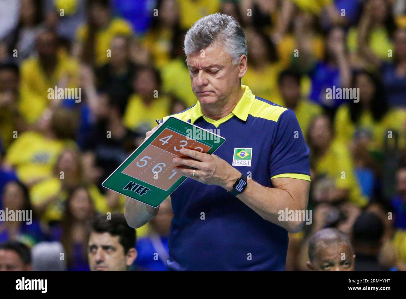 Vôlei Masculino - Brasil