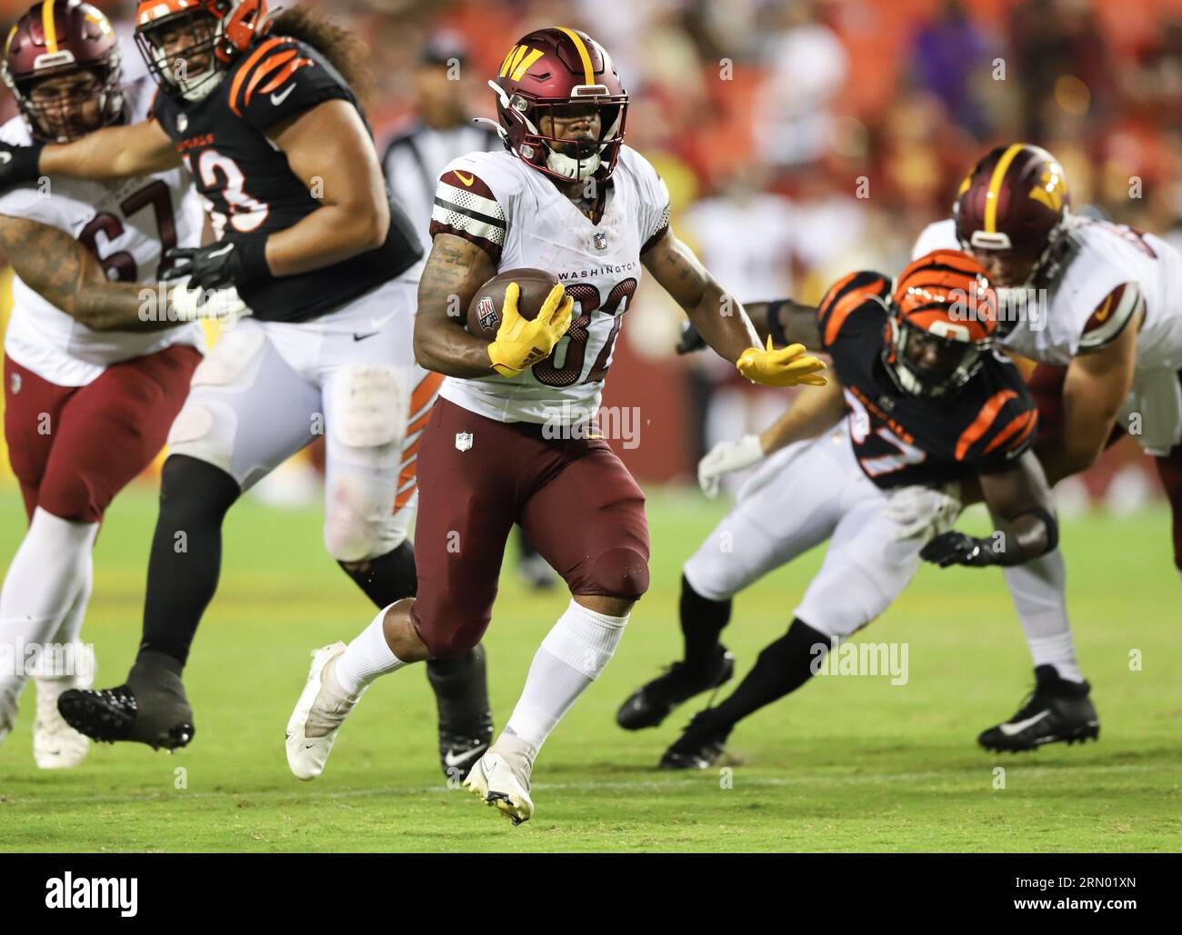 Landover, United States. 26th Aug, 2023. Cincinnati Bengals OT D'Ante Smith  (70) and DE KJ Henry (55) in position as they fight to hold each other back  during a NFL preseason game