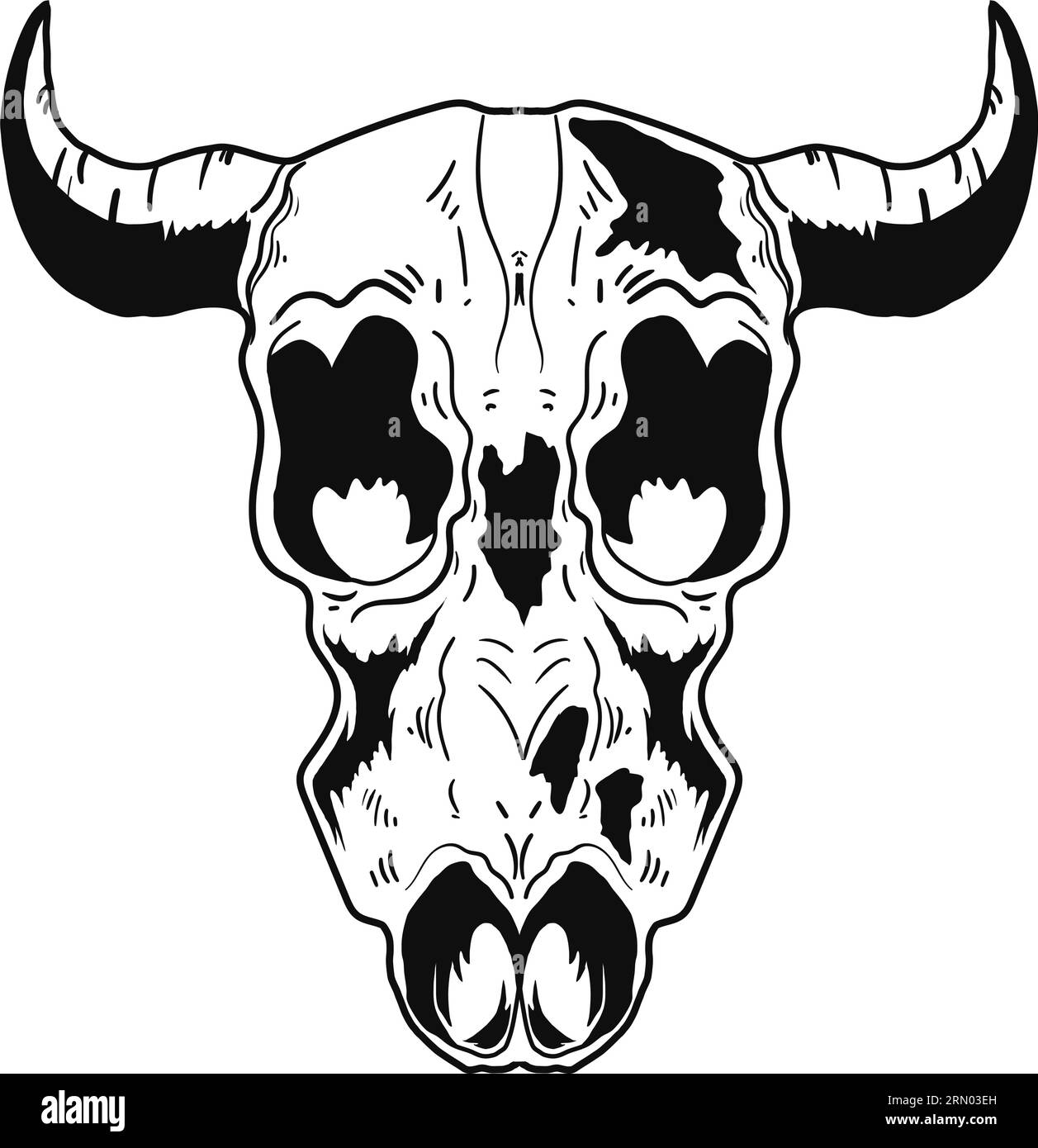 Longhorn bull skull Black and White Stock Photos & Images - Alamy