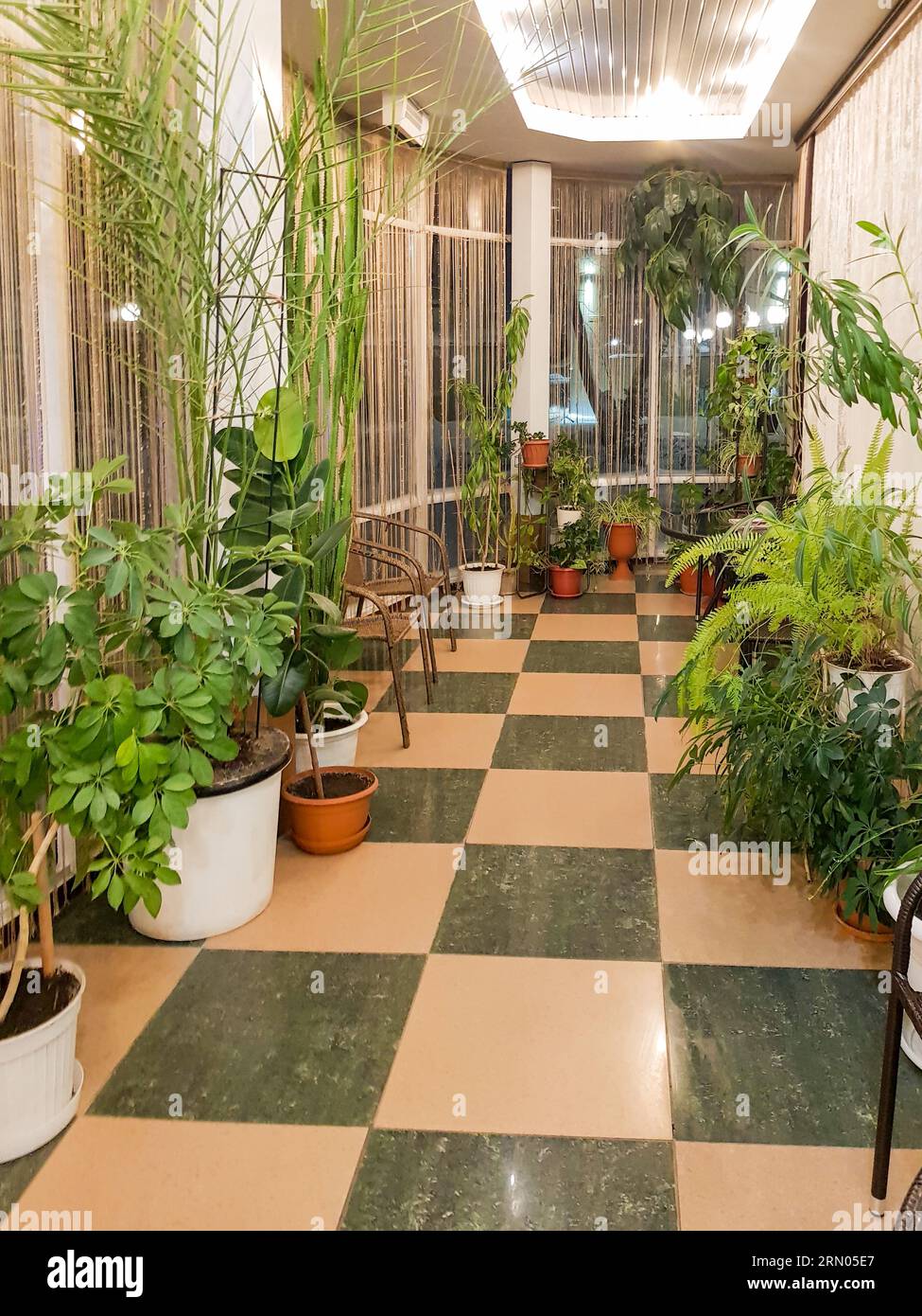 perspective interior of a winter indoor home garden with tropical plants, a  greenhouse or greenhouse with indoor plants, a floor with ceramic tiles  Stock Photo - Alamy, image size:975x1390