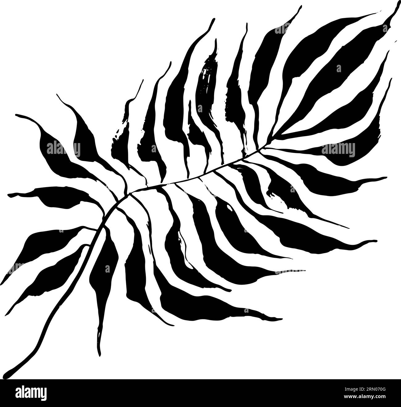 palm-tree-leaf-on-transparent-background-png-file-9308420-png