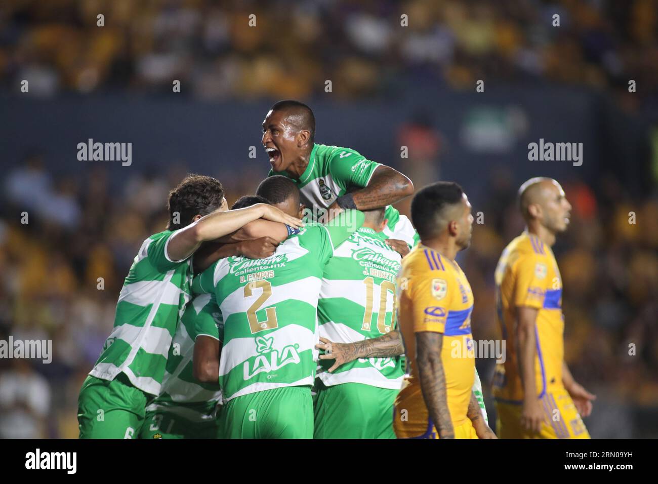 Tigres uanl liga mx hi-res stock photography and images - Alamy