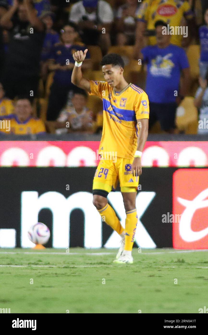 Tigres uanl liga mx hi-res stock photography and images - Alamy