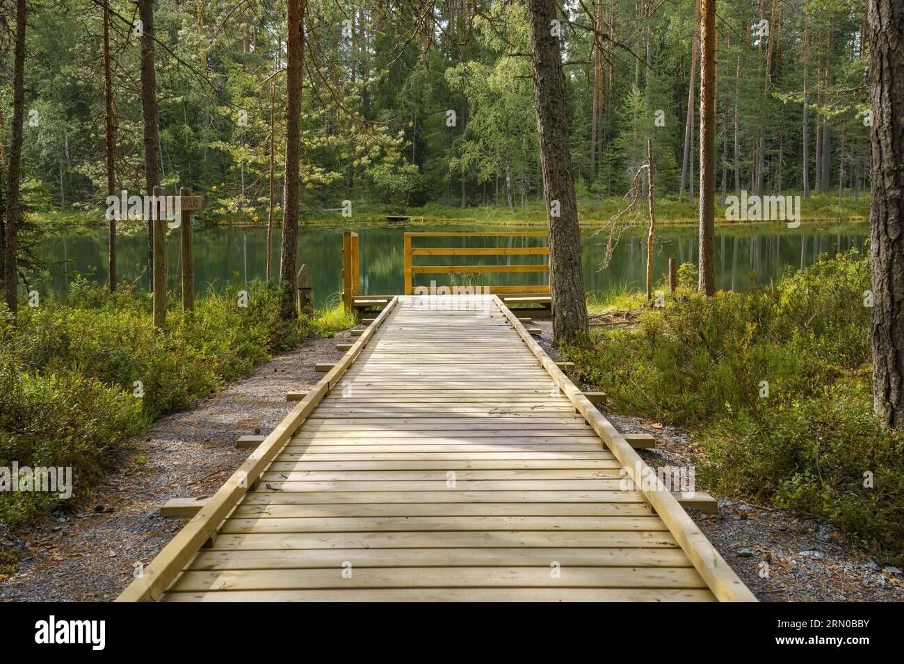 Wooden walkway leading to a pond in Evo Hiking area, Finland. Stock Photo