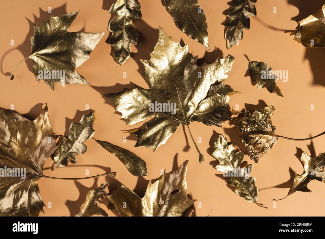 Metallic gold autumn leaves lying on orange background Stock Photo