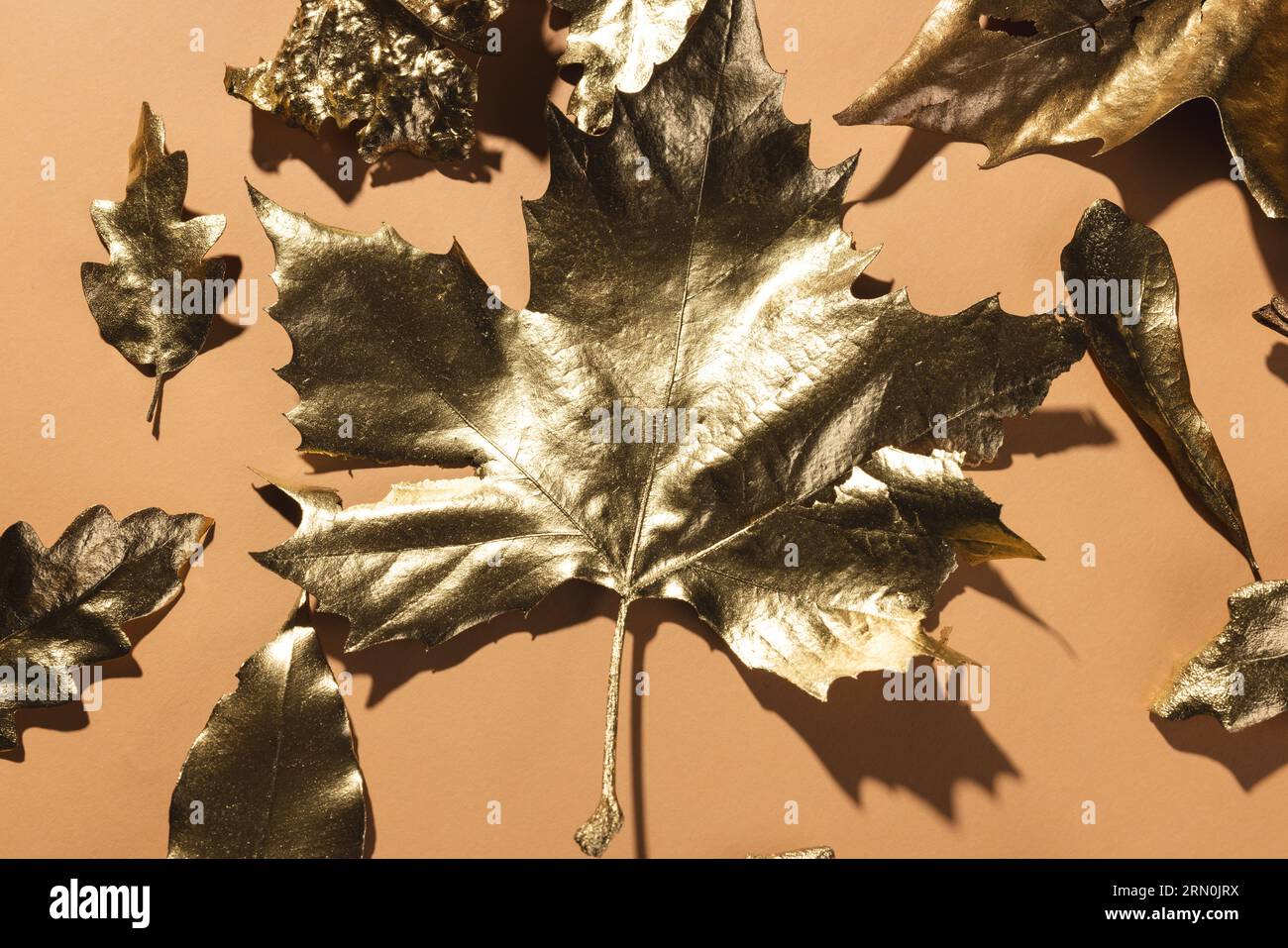 Metallic gold autumn leaves lying on orange background Stock Photo