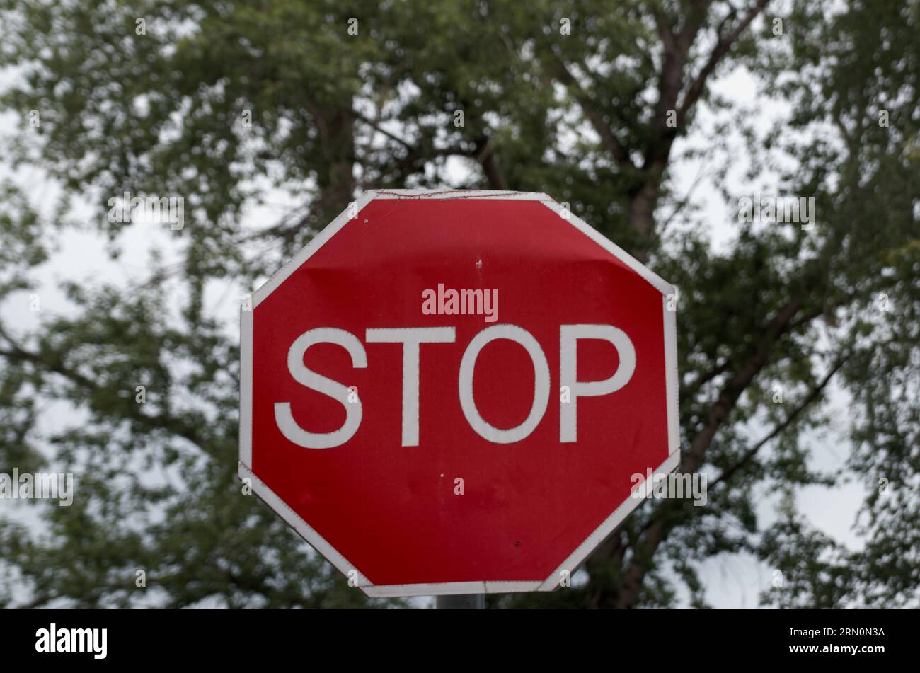 Road sign 