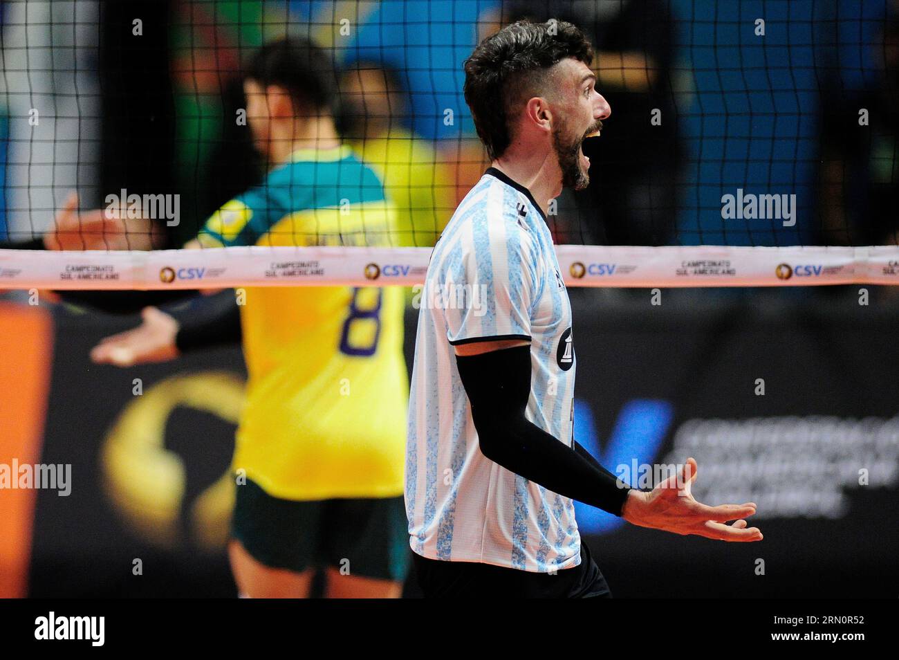 Mens volleyball hi-res stock photography and images - Page 69