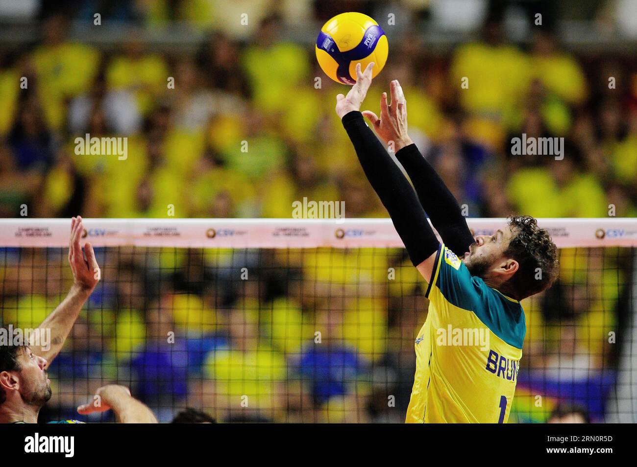 live mens volleyball