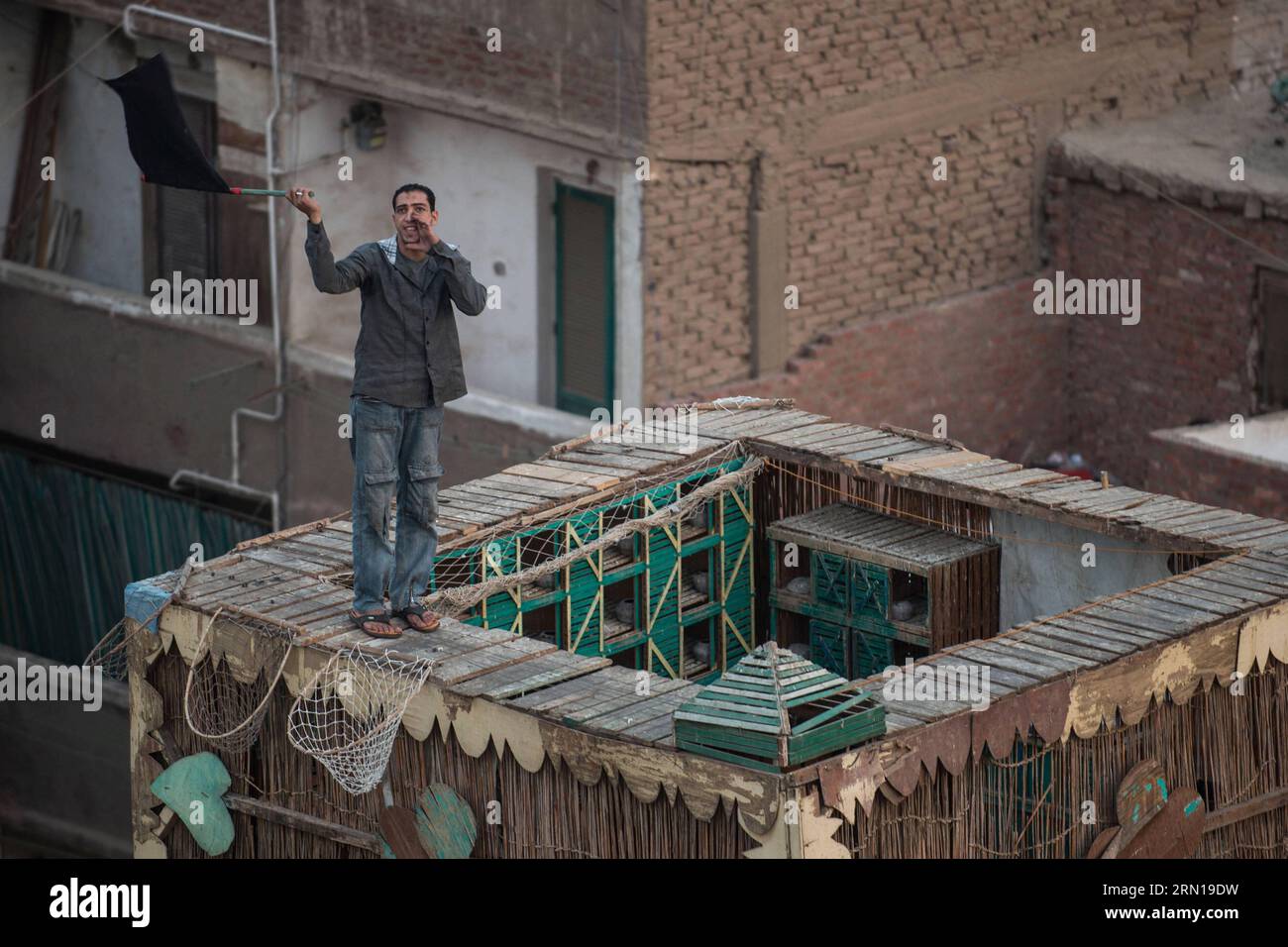 (141208) -- CAIRO,   Ahmed Gamal, 24, an Egyptian pigeon fancier, guides his pigeons on top of his pigeon loft in Mohandesen district, west of Cairo, Egypt, on Nov. 13, 2014. ) (lmz) EGYPT-CAIRO-PIGEON-FANCIER-FEATURE PanxChaoyue PUBLICATIONxNOTxINxCHN   Cairo Ahmed Gamal 24 to Egyptian Pigeon fancier Guides His pigeons ON Top of His Pigeon Loft in  District WEST of Cairo Egypt ON Nov 13 2014  Egypt Cairo Pigeon fancier Feature  PUBLICATIONxNOTxINxCHN Stock Photo