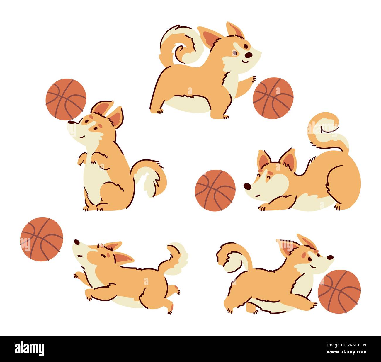 Welsh dogs dribbling a basketball . Hand drawn style cartoon