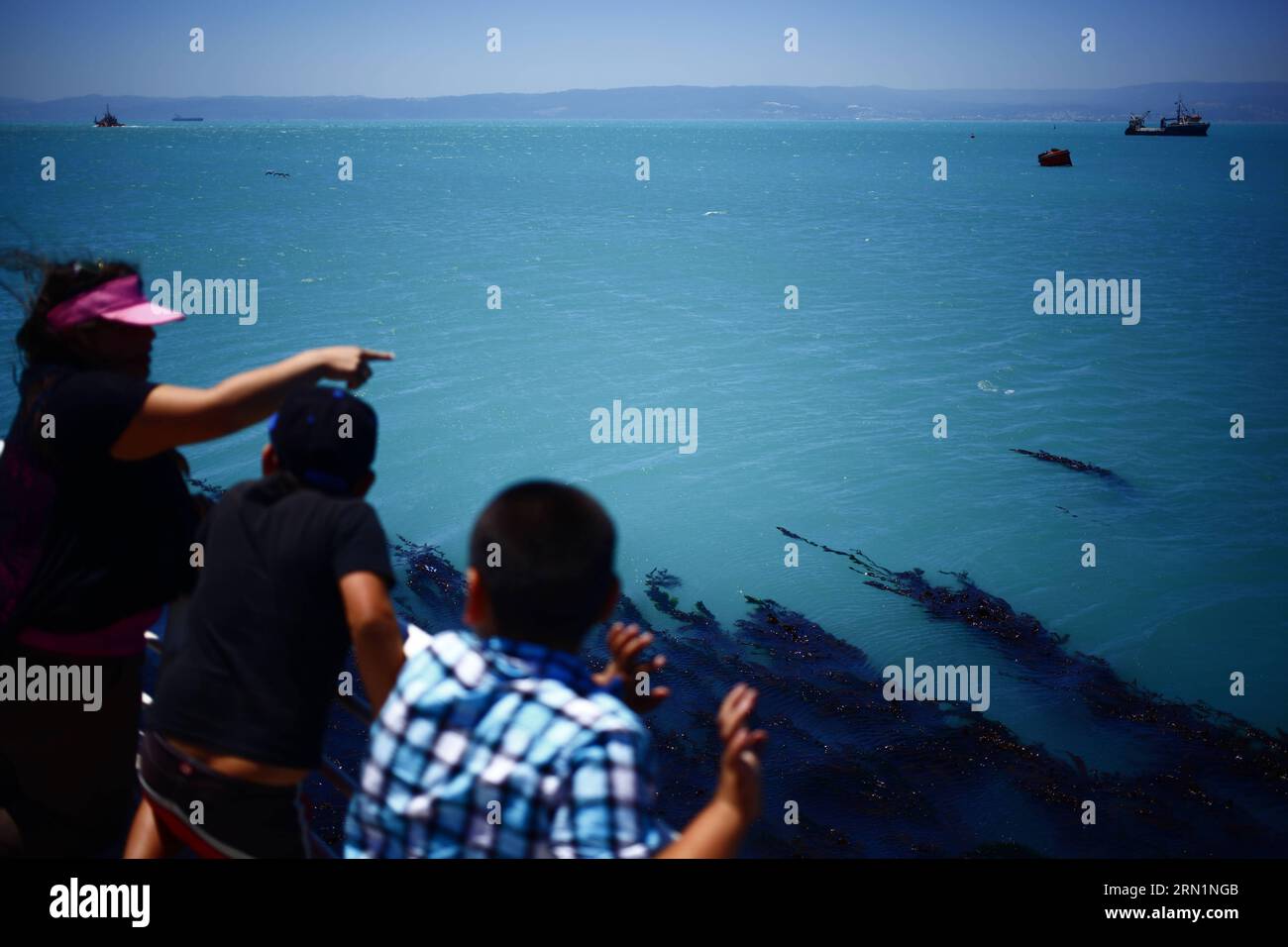 TALCAHUANO, Jan. 12, 2015 -- People watch the water of the Bay of Concepcion, in Talcahuano, in the Biobio region, Chile, on Jan. 12, 2015. According to local press, the waters of the Bay of Concepcion have become turquoise due to low oxygenation of the liquid called coastal upwelling . Str) (lyi) CHILE-TALCAHUANO-BAY-ENVIRONMENT e JORGExVILLEGAS PUBLICATIONxNOTxINxCHN   Jan 12 2015 Celebrities Watch The Water of The Bay of Concepcion in  in The BioBio Region Chile ON Jan 12 2015 According to Local Press The Waters of The Bay of Concepcion have Become Turquoise Due to Low  of The Liquid called Stock Photo