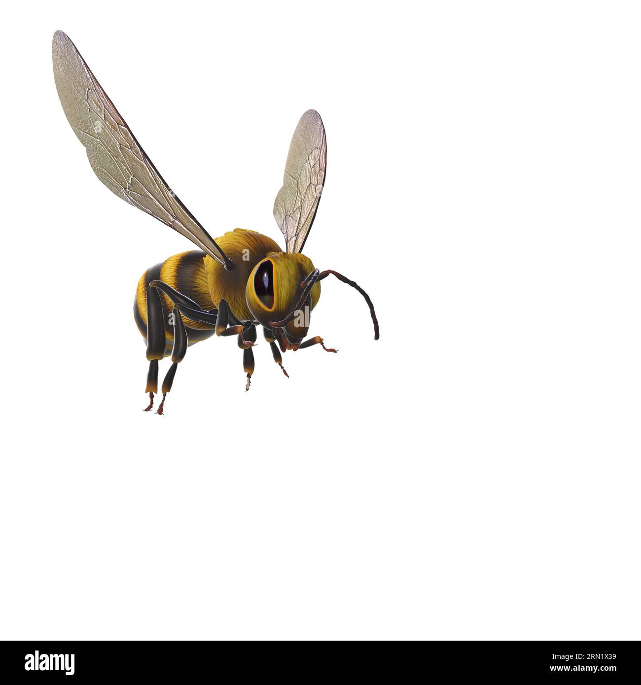A 3D rendering of a yellow and black bee against a white background ...