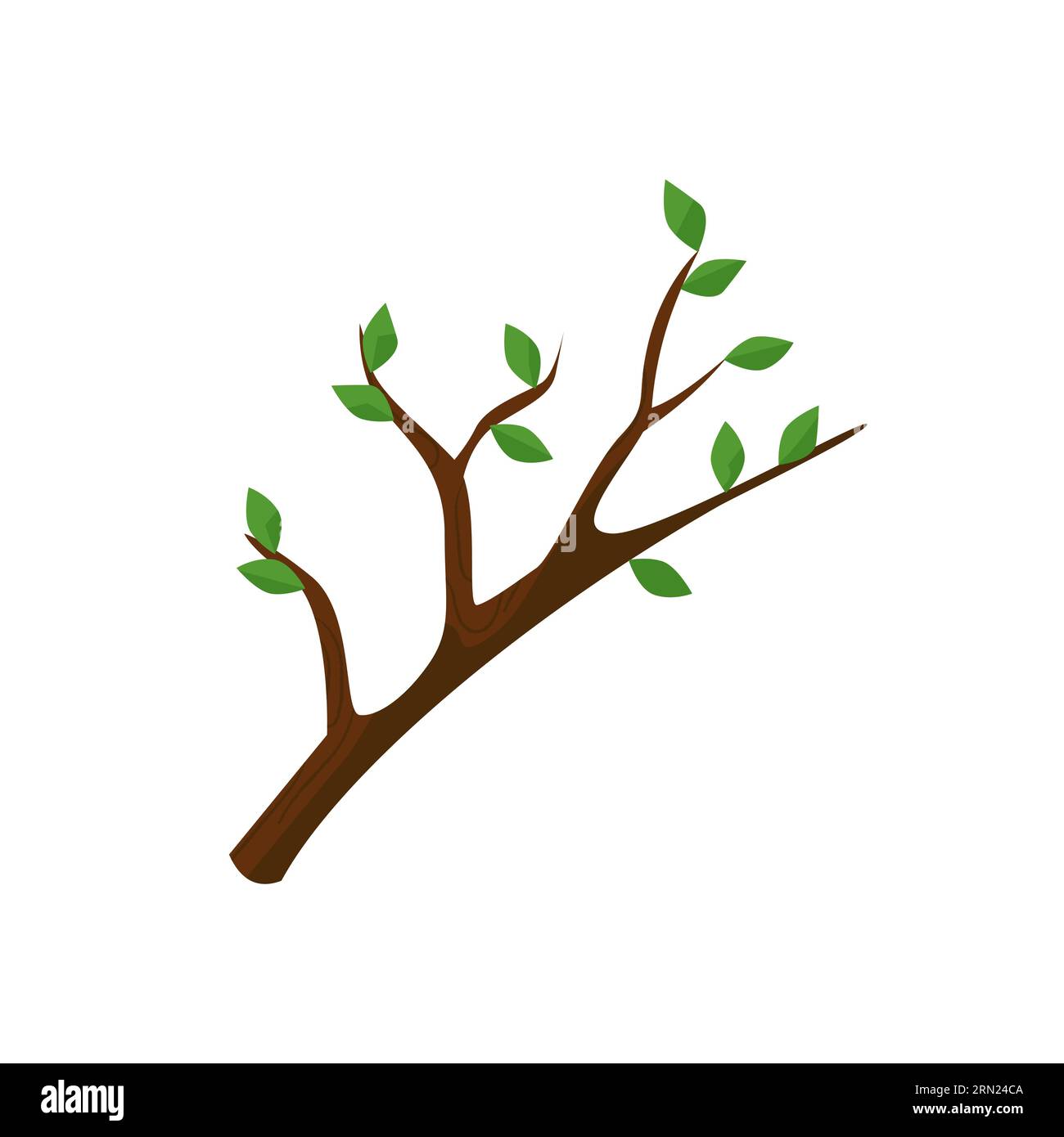 Tree branch with green leaves illustration Stock Vector Image & Art - Alamy