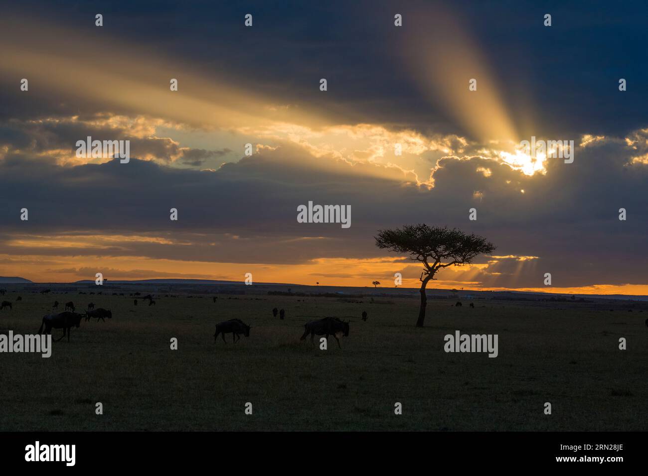 Kenya solar light hi-res stock photography and images - Alamy