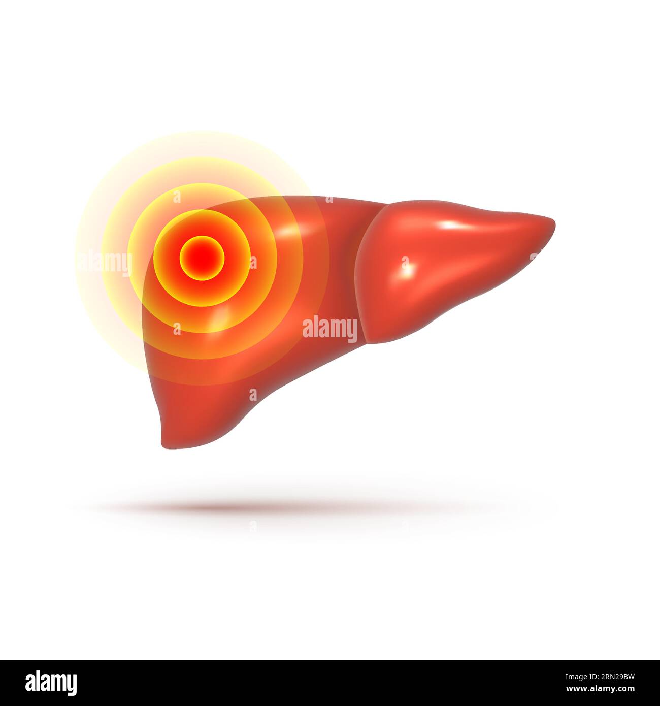 Liver 3d Stock Vector Images - Alamy