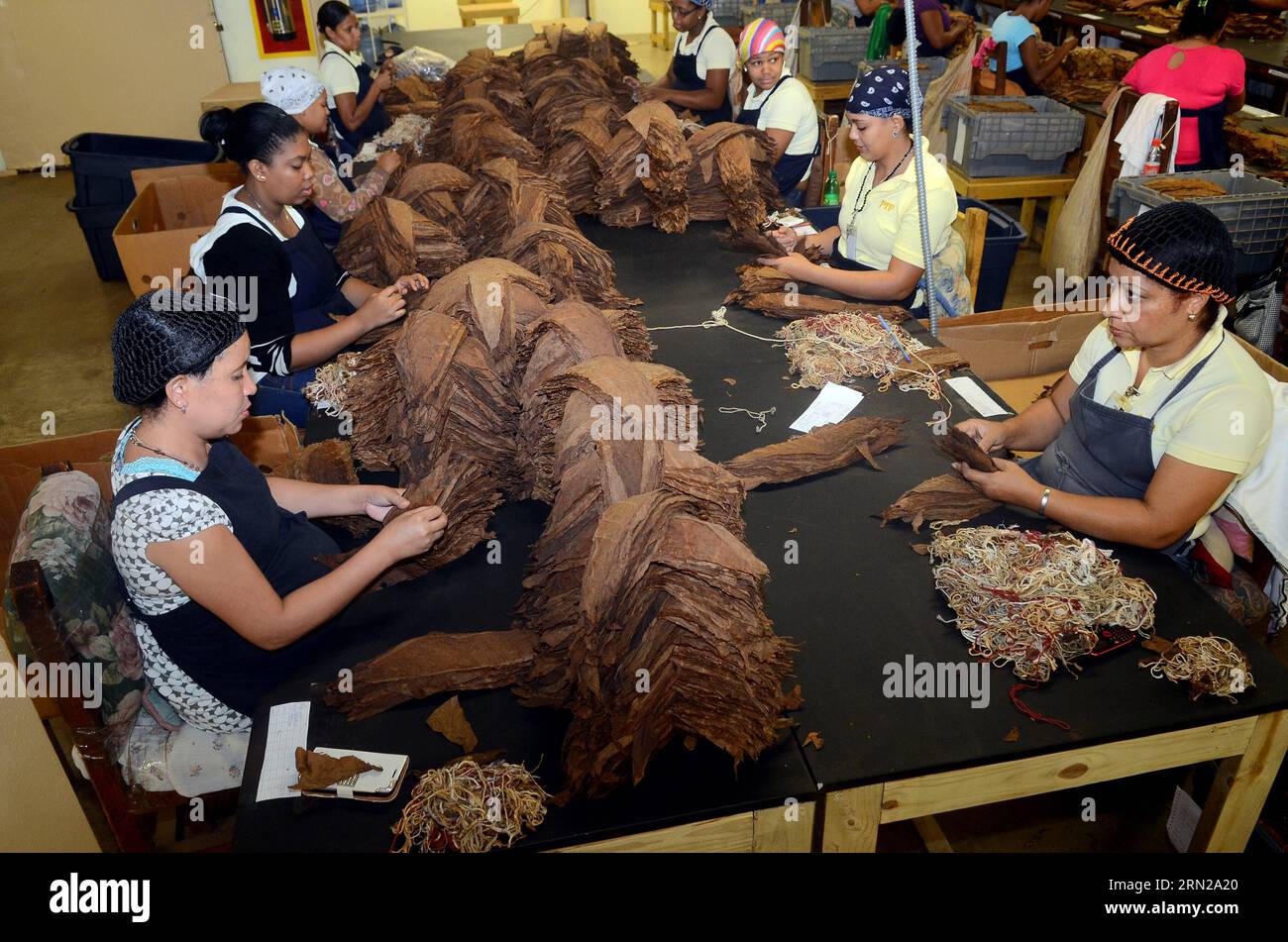Tobacco production line hi-res stock photography and images - Page 2