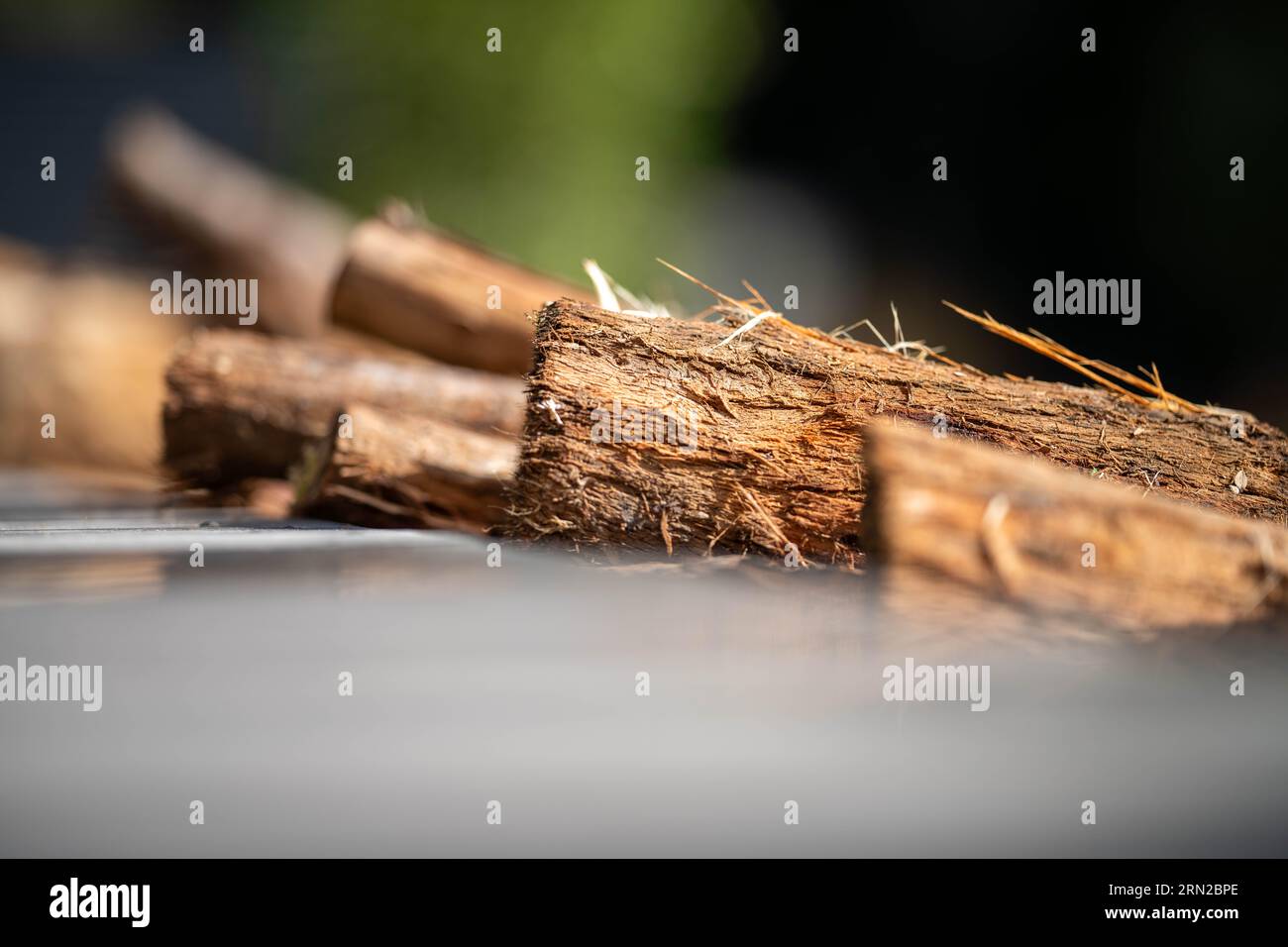 Oak wood fire burning in hi-res stock photography and images - Alamy