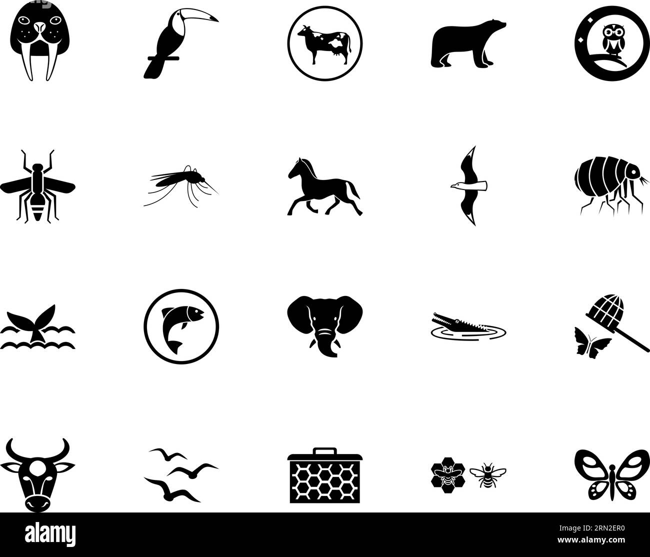 World wild web Stock Vector Images - Alamy