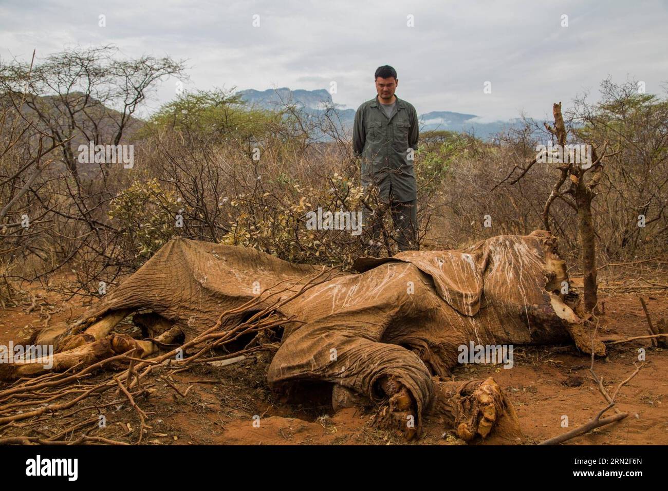 Importance Of Wildlife Tourism