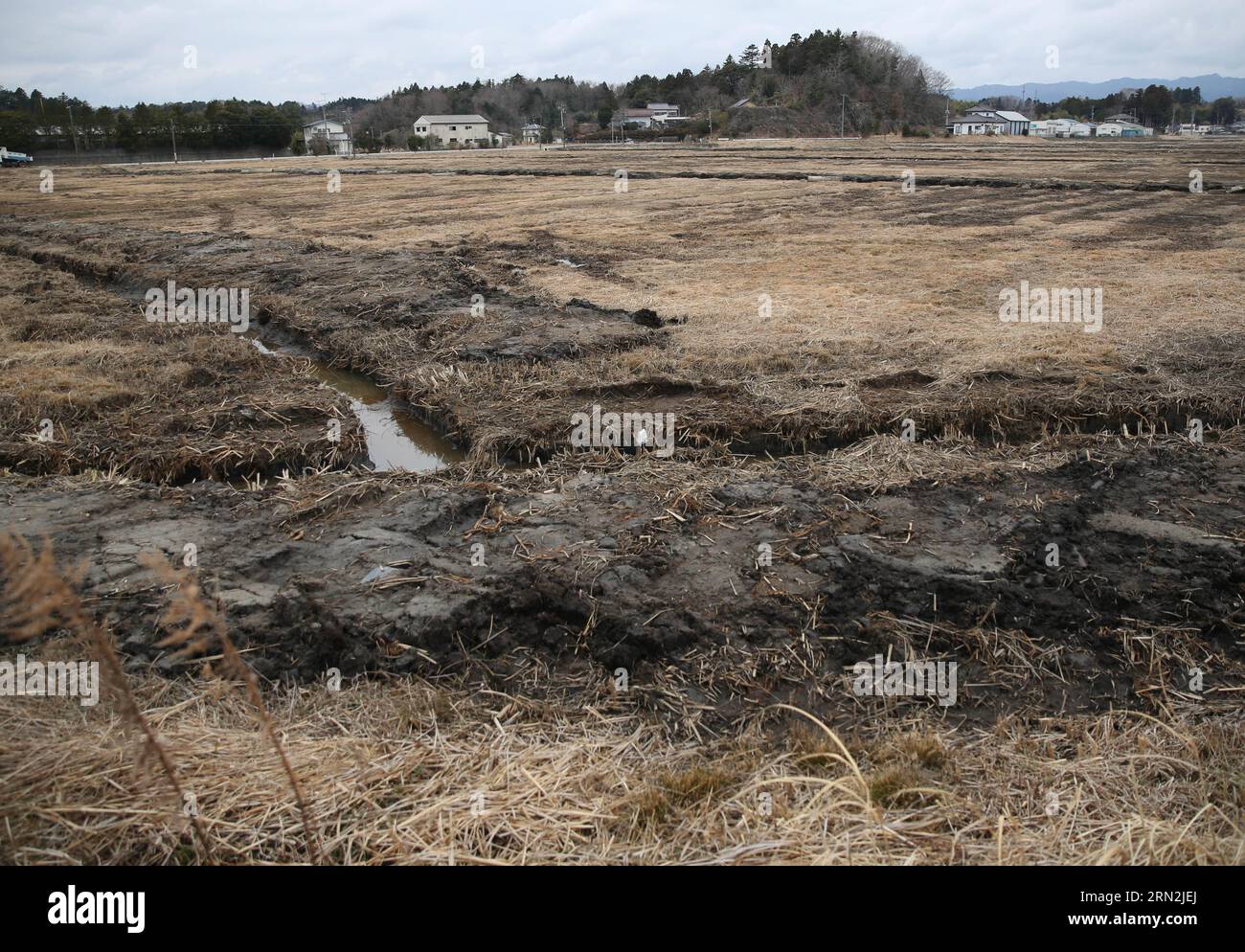 (150310) -- FUKUSHIMA, March 10, 2015 -- Damaged fields and houses are seen in the Futaba District, located well within the 20-kilometer exclusion radius around the leaking facilities of Fukushima Daiichi nuclear power plant, in Fukushima Prefecture, Japan, March 7, 2015. The scenes from the towns and villages still abandoned four years after an earthquake triggered tsunami breached the defenses of the Fukushima Daiichi nuclear power plant, would make for the perfect backdrop for a post- apocalyptic Hollywood zombie movie, but the trouble would be that the levels of radiation in the area would Stock Photo