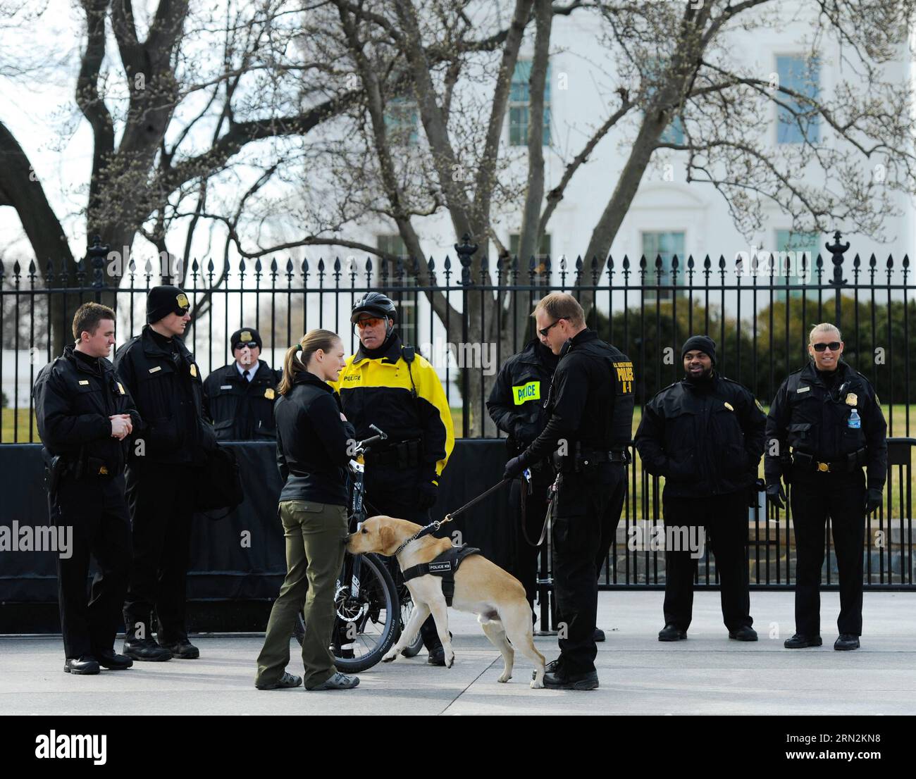 (150313) -- WASHINGTON D.C., March 13, 2015 -- Secret service agents guard the White House in Washington D.C., capital of the United States, March 13, 2015. For a U.S. federal agency with a name that suggests secrecy, putting itself repeatedly in the limelight for negative news coverage is quite a bitter irony. The Secret Service, widely perceived as the most elite law enforcement team in the United States that protects the U.S. president and the First Family, landed itself in hot water again after U.S. media revealed earlier this week that two top Secret Service barreled through a scene of an Stock Photo