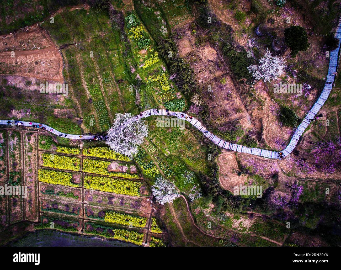 (150323) -- HANGZHOU, March 23, 2015 -- Photo taken on March 23, 2015 shows the scenery in Yangshanfan Village in Tonglu County of Hangzhou City, capital of east China s Zhejiang Province. Various flowers blossom during Spring in Tonglu, attracting tourists to visit the County and promoting the local tourism. ) (zwx) CHINA-HANGZHOU-TONGLU-TOURISM(CN) XuxYu PUBLICATIONxNOTxINxCHN   Hangzhou March 23 2015 Photo Taken ON March 23 2015 Shows The scenery in  Village in Tonglu County of Hangzhou City Capital of East China S Zhejiang Province Various Flowers Blossom during Spring in Tonglu Attracting Stock Photo