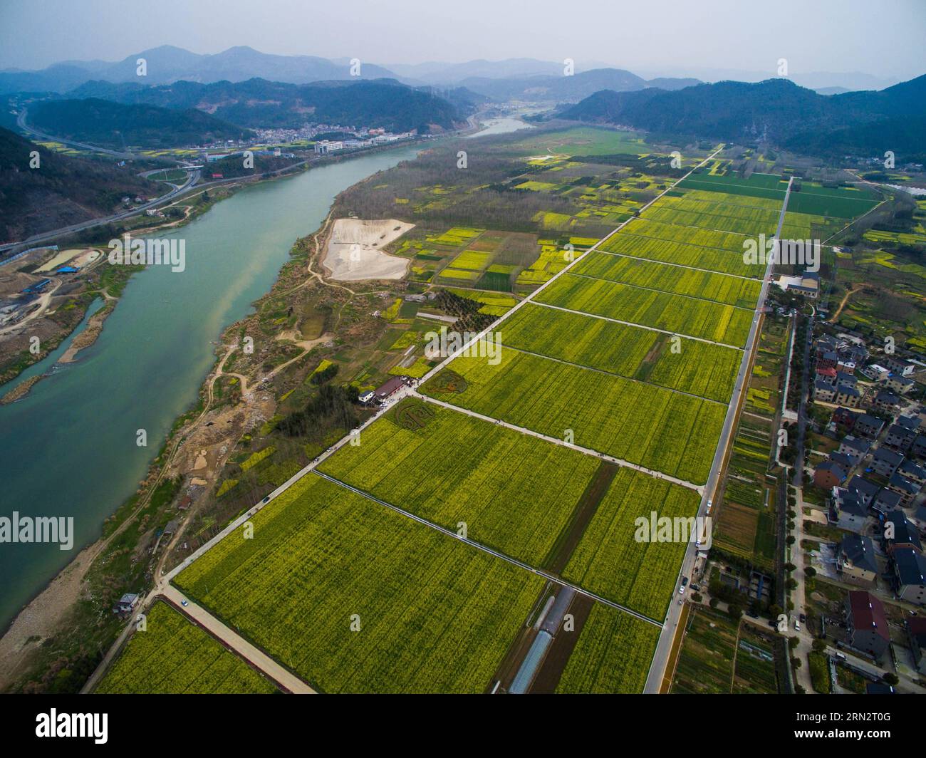 (150323) -- HANGZHOU, March 23, 2015 -- Photo taken on March 23, 2015 shows the cole flower farmlands in Tonglu County of Hangzhou City, capital of east China s Zhejiang Province. Various flowers blossom during Spring in Tonglu, attracting tourists to visit the County and promoting the local tourism. ) (zwx) CHINA-HANGZHOU-TONGLU-TOURISM(CN) XuxYu PUBLICATIONxNOTxINxCHN   Hangzhou March 23 2015 Photo Taken ON March 23 2015 Shows The Cole Flower Farm country in Tonglu County of Hangzhou City Capital of East China S Zhejiang Province Various Flowers Blossom during Spring in Tonglu Attracting tou Stock Photo