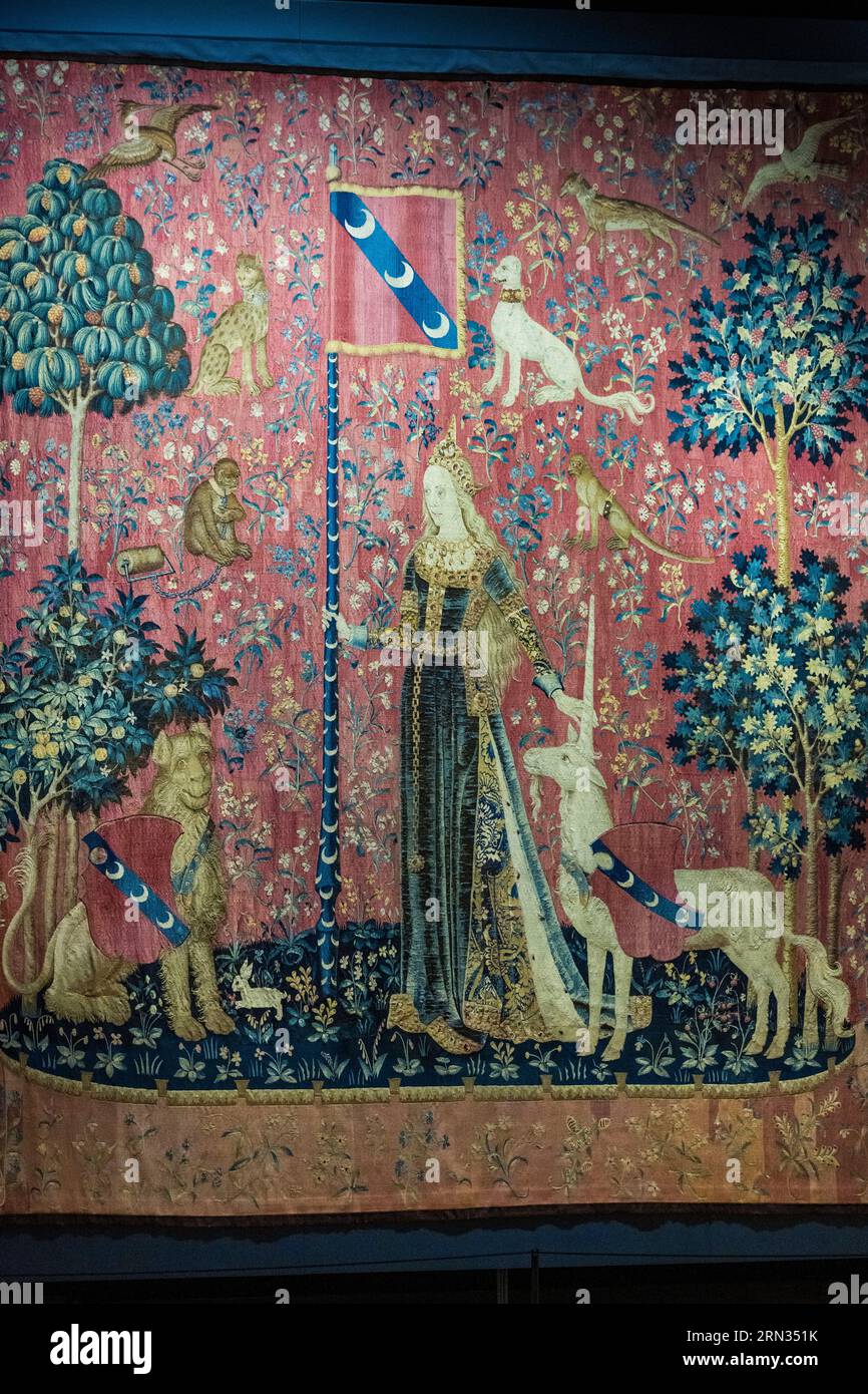 France, Paris, Musée de Cluny - Musée national du Moyen-Age (Middle ...